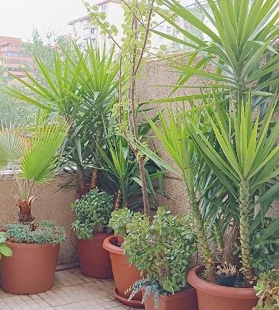 Apartamento Principe Caces 외부 사진