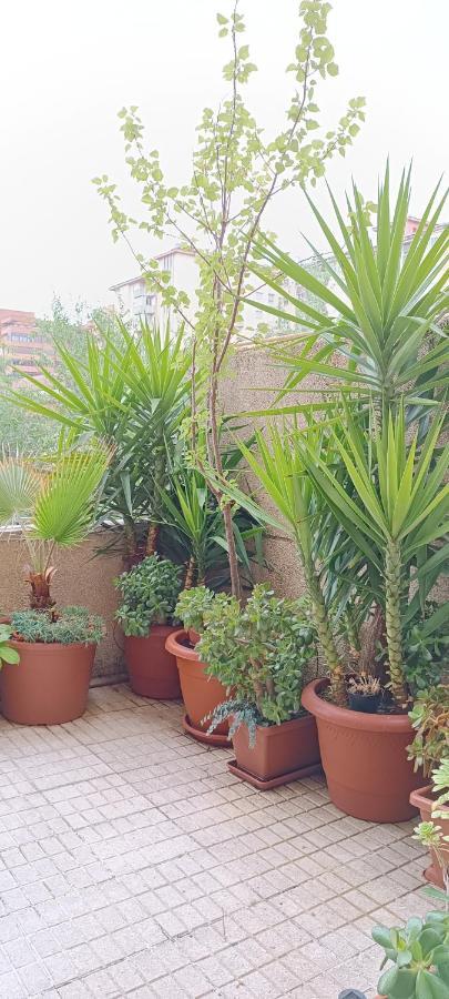 Apartamento Principe Caces 외부 사진