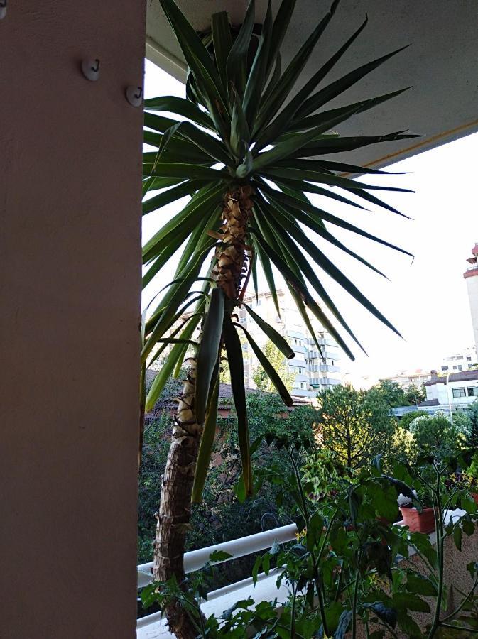 Apartamento Principe Caces 외부 사진